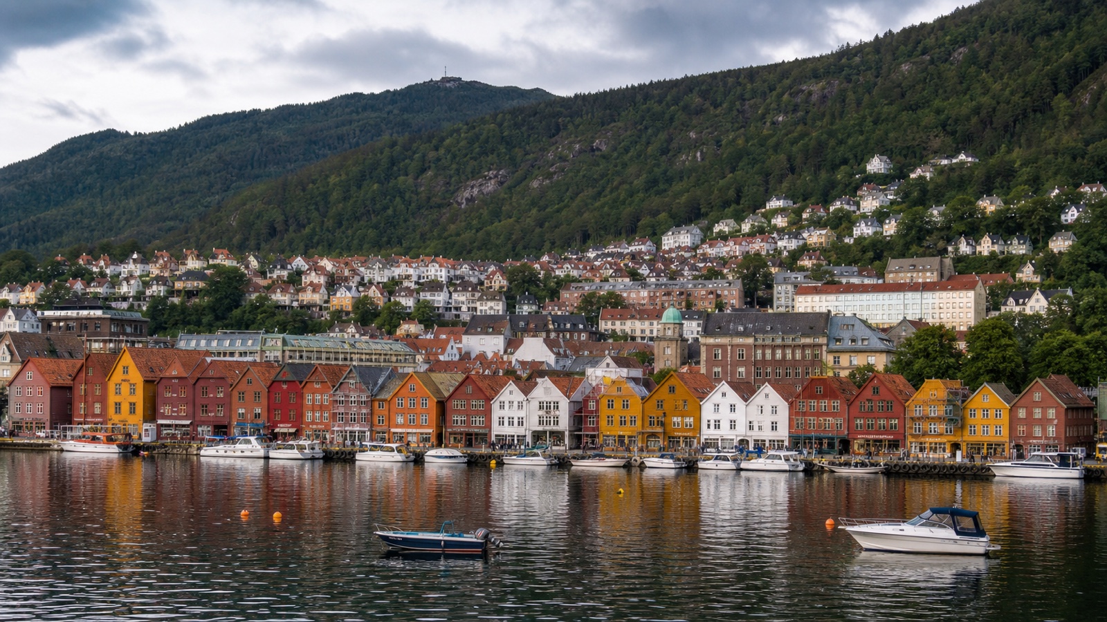 Bergen waterfront and forested hills with an unbranded cruise ship