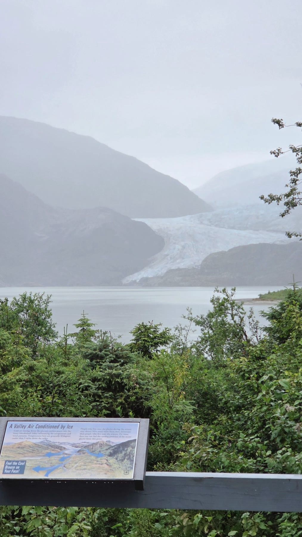 Mendenhall Glacier beyond lake, forest and an interpretive sign in rainy weather